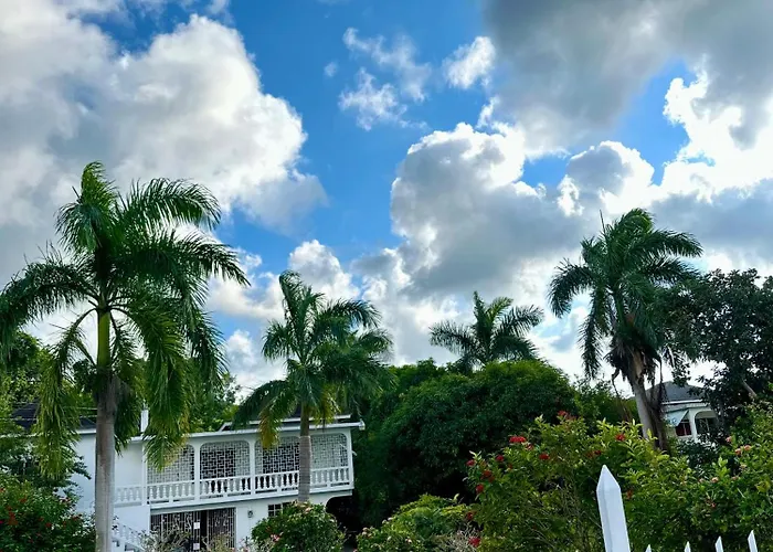 Vacation In Jamaica *