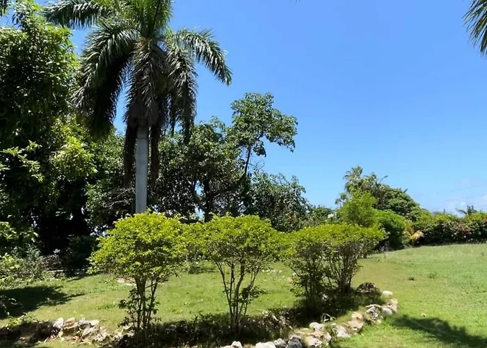 Vacation In Jamaica Casa de férias